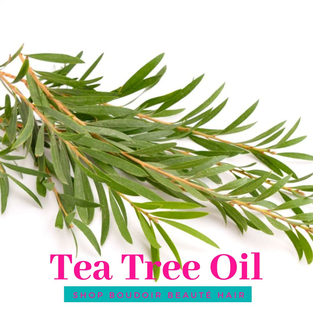 Benefits Of Tea Tree Oil